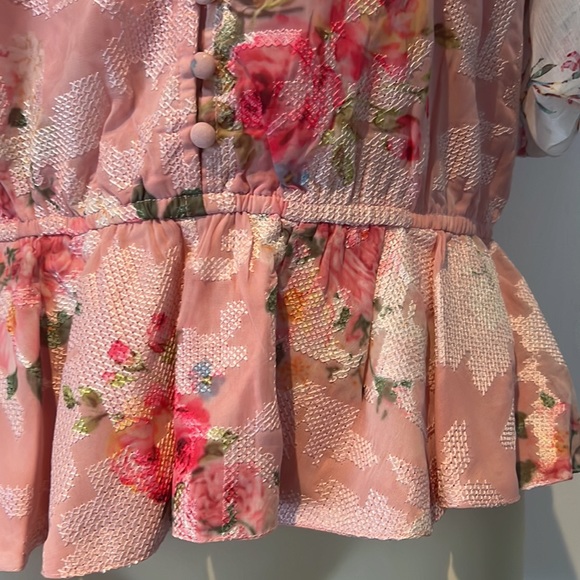 Hemant & Nandita Blouse Pink Rose Garden V-Neck Sheer Sleeves Button Front Sz S - Picture 3 of 4